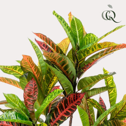 Artificial Plant Croton Codiaeum Wonder Shrub 95 cm Beautiful