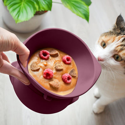 Kattenkom verhoogd verstelbaar siliconen