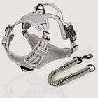 ne&no® Dog Harness with Matching Shock Absorber [DEVELOPED by NE&NO]