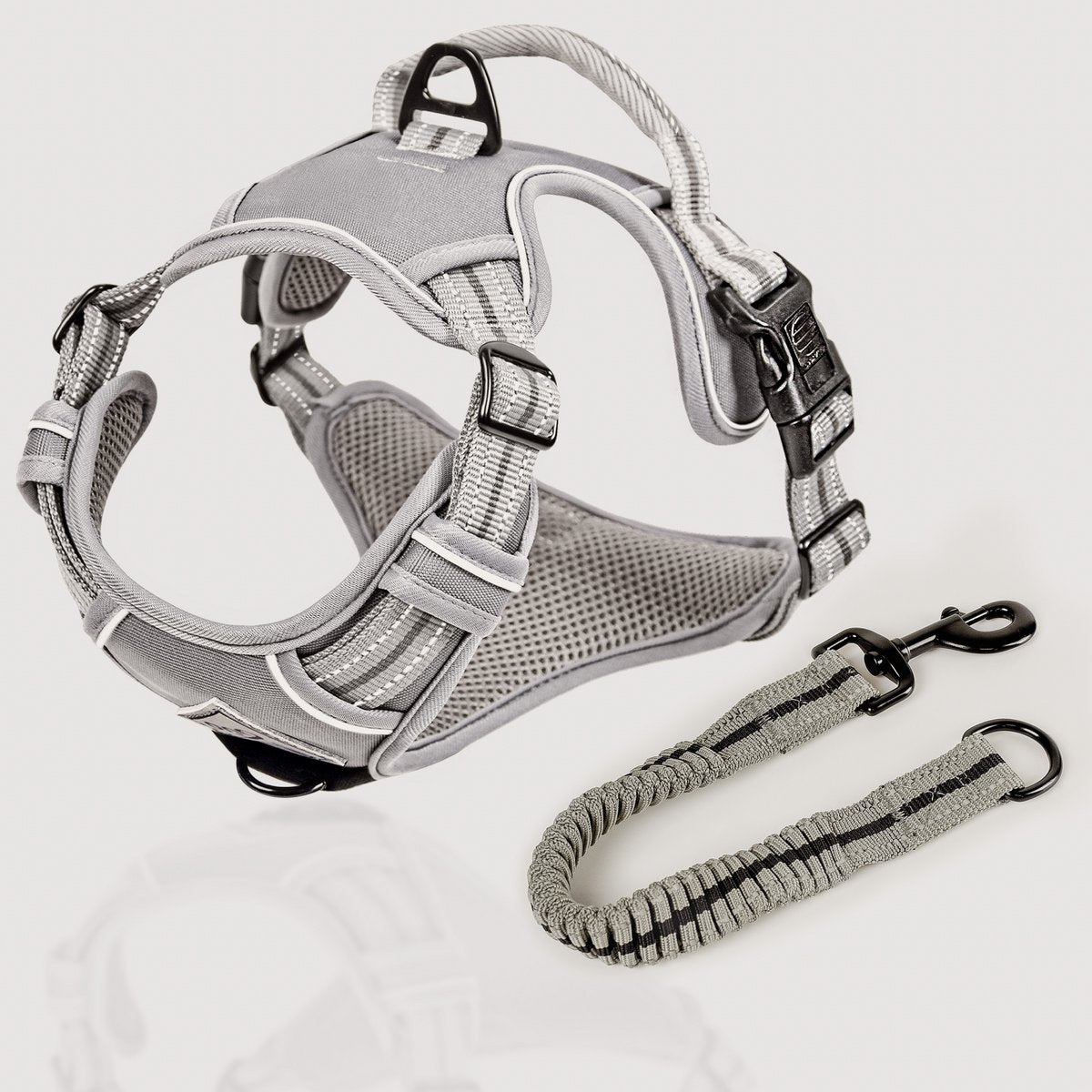 ne&no® Dog Harness with Matching Shock Absorber [DEVELOPED by NE&NO]