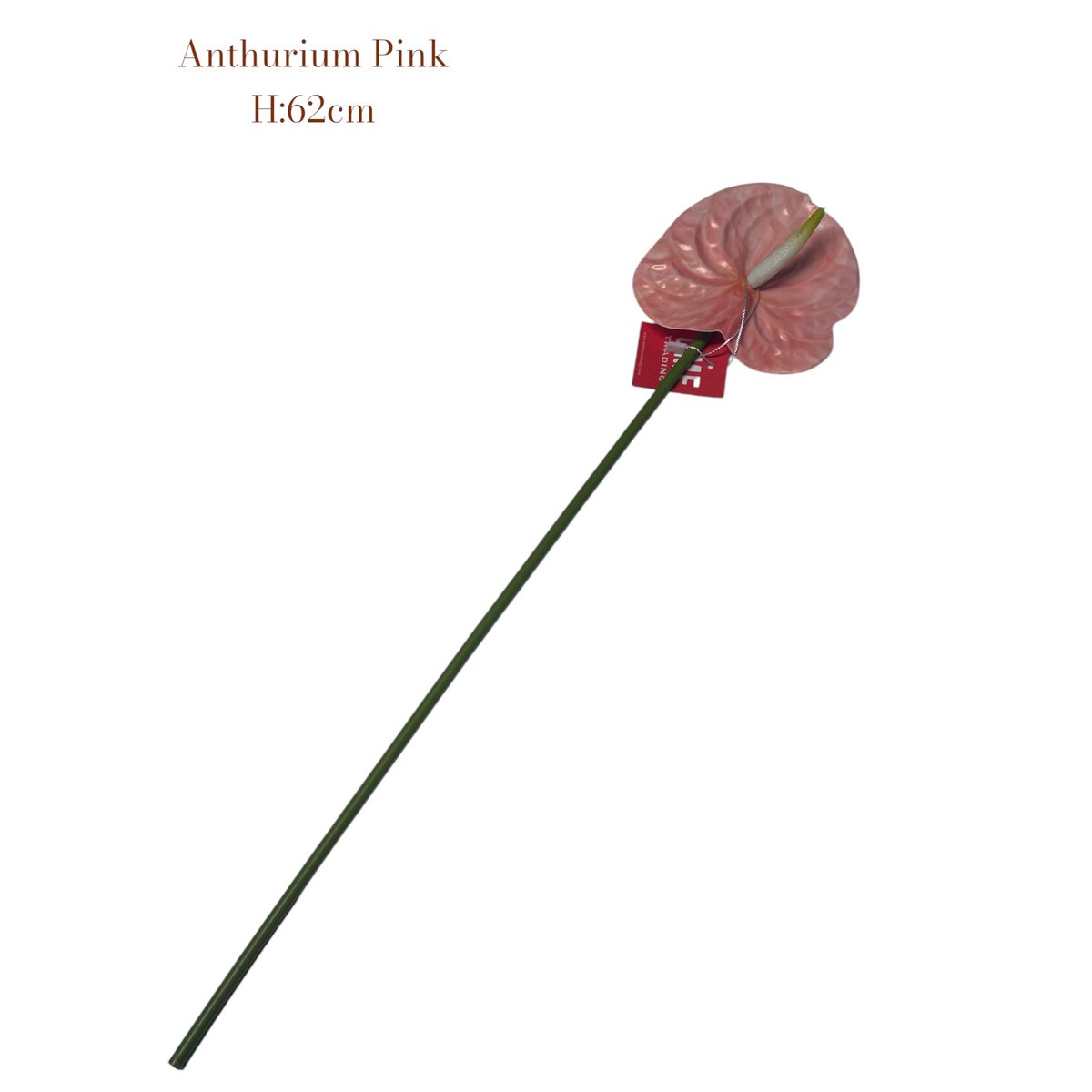 Kunstbloem Anthurium Pink 62 cm