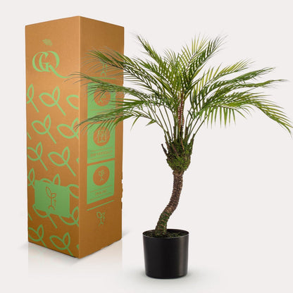 Kunstplant Bergpalm Chamaedorea 85 cm