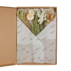 Droogbloemen 5 stuks 30 cm naturel