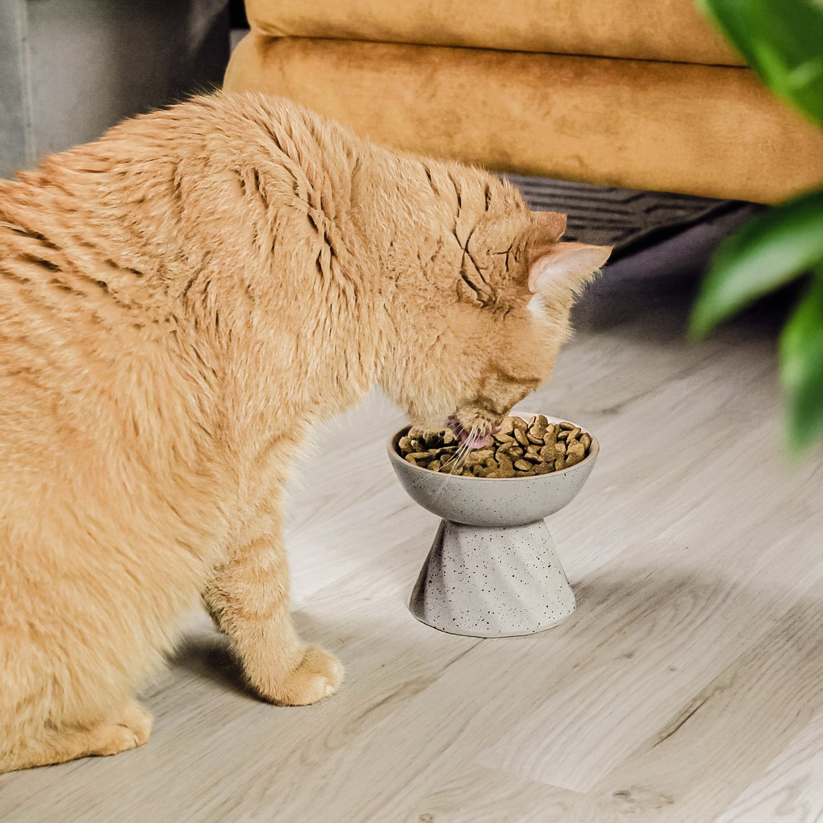 Kattenvoerbak keramiek verhoogd grijs