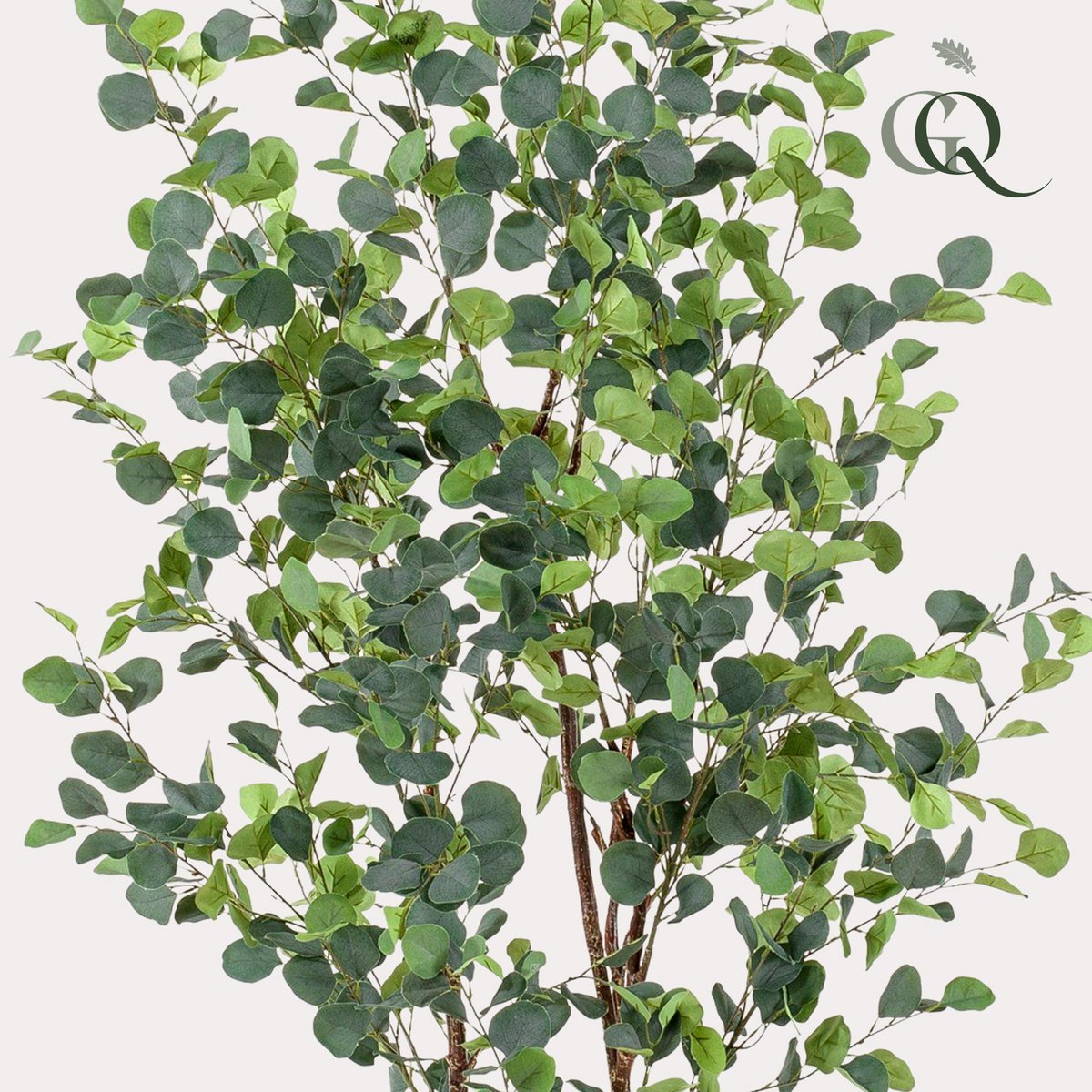 Artificial Plant - Eucalyptus - Blue Gum Tree - 180 cm
