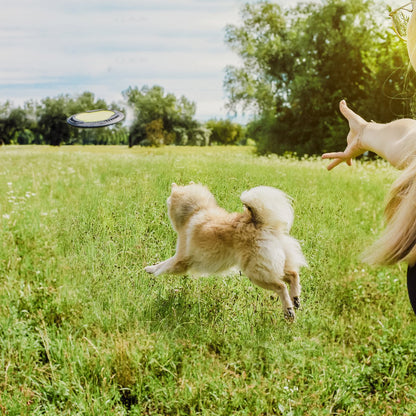 NE & NO® Dog-having-beat / Wide-flying dog toy