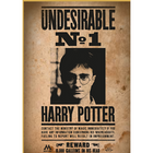 Harry Potter puzzel 50 stukjes