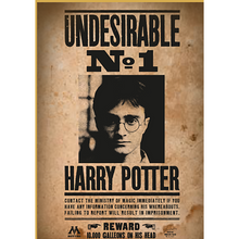 Harry Potter puzzel 50 stukjes