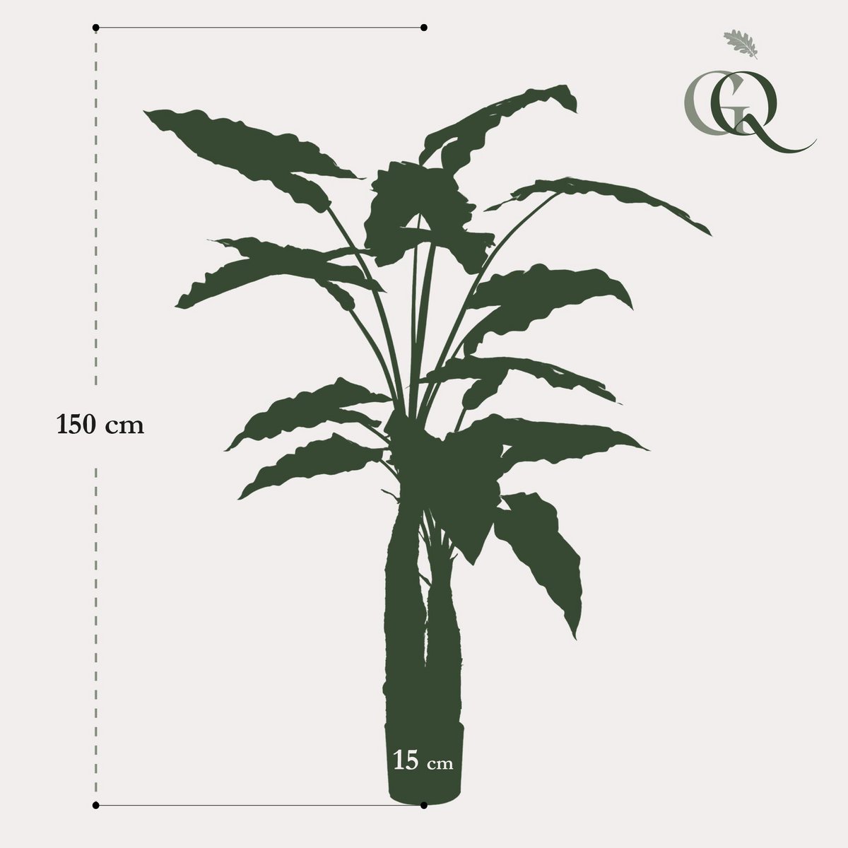 Kunstplant Alocasia 150 cm groen