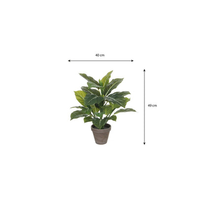 Kunstplant Evergreen 49 cm diameter 40 cm groen