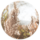 Wall circle grass