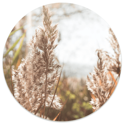 Wall circle grass