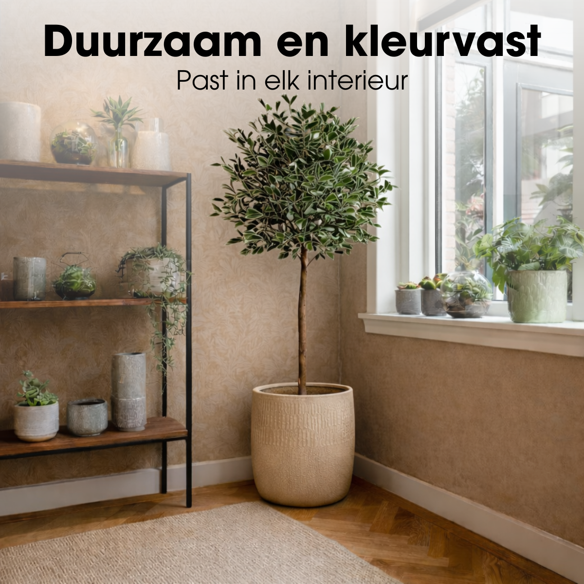 Kunstplant Ficus Triangularis 150 cm groen