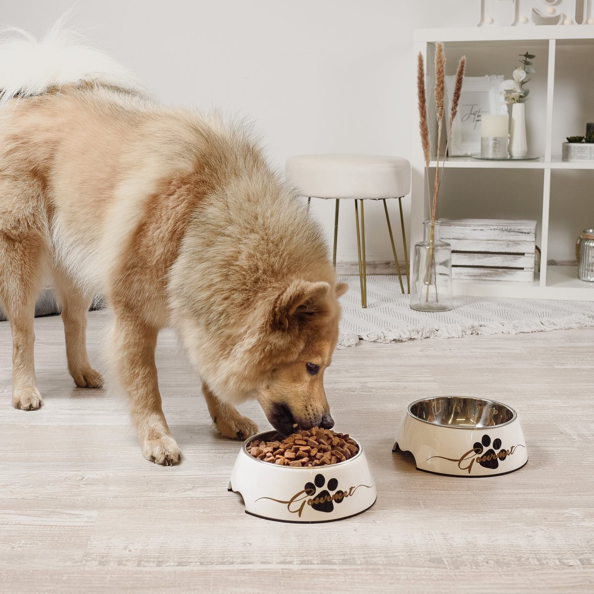 Honden voerbak 2 stuks roestvrij staal melamine wit goud