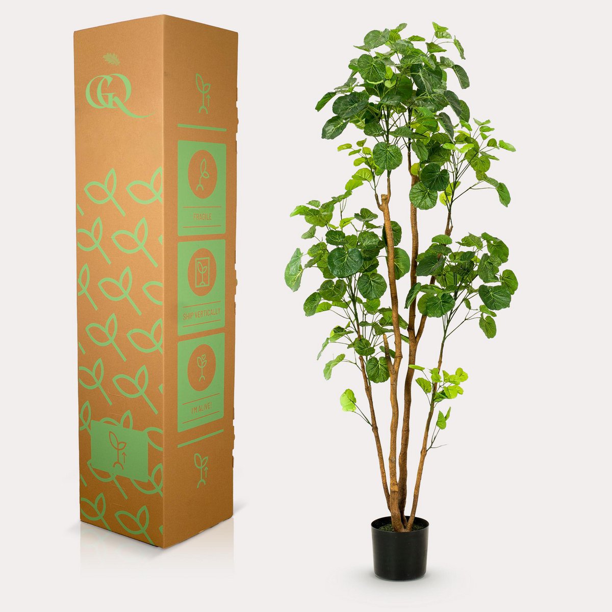 Kunstplant Polyscias Aralia 160 cm