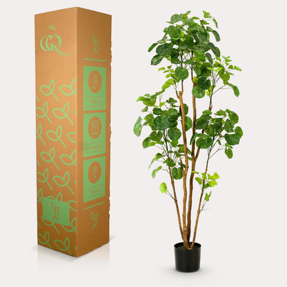 Kunstplant Polyscias Aralia 160 cm