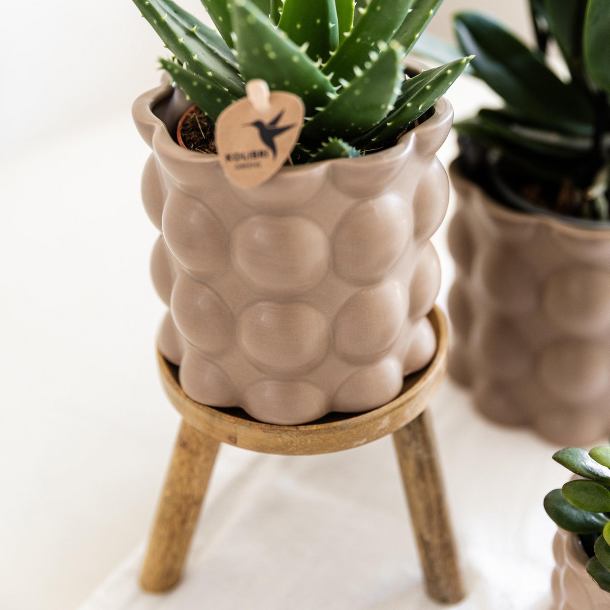 Plantenstandaard hout rond 12 cm