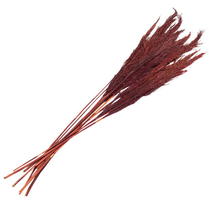 Droogboeket 100 cm rood bamboe gras
