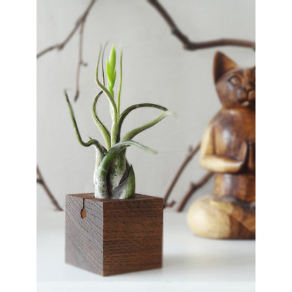 Cube - Dark oak