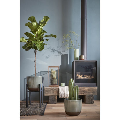 Plantenstandaard 50 cm zwart ijzer