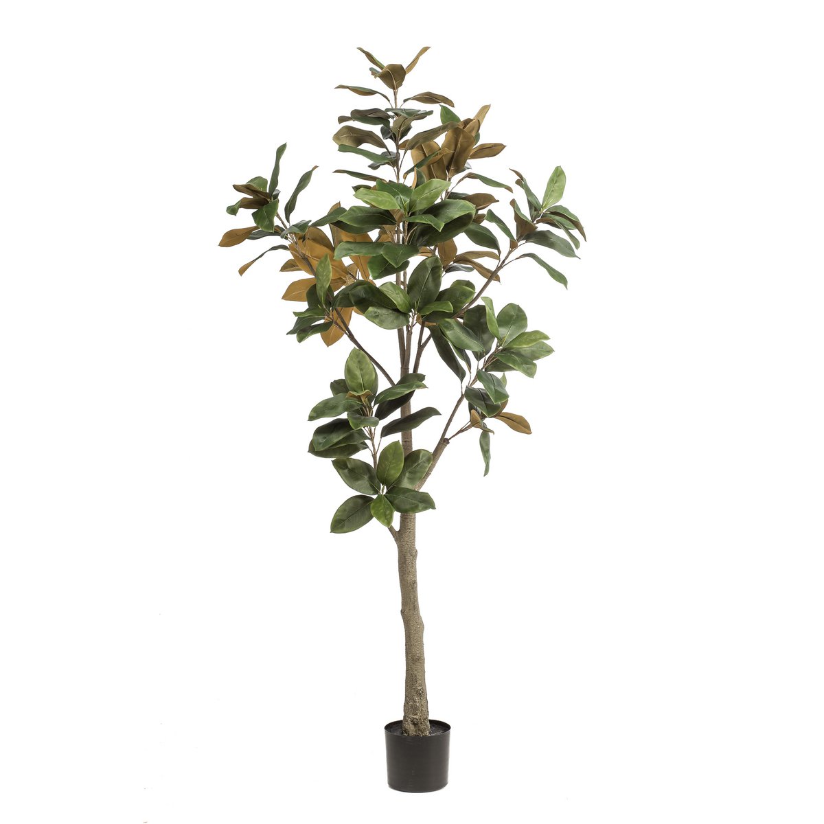 Kunstplant Magnolia Grandiflora 180 cm groen