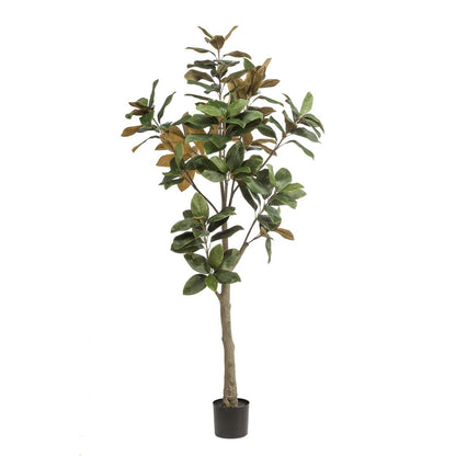 Kunstplant Magnolia Grandiflora 180 cm groen