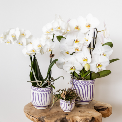 Sierpot keramiek Ø9 cm lilac