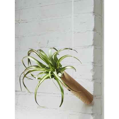 Hangcilinders licht eiken set van 2