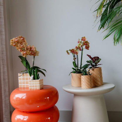 Ceramic Decorative Pot Candy Ø6cm Peach