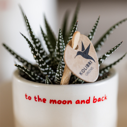 White ceramic decorative pot 'to the moon and back' - Ø6cm