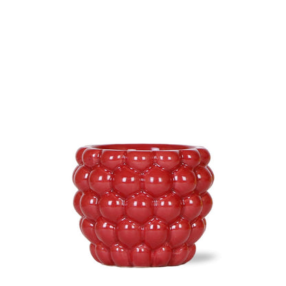Rode Keramieken Bloempot Ø9 cm