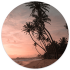 Wall circle palm sunset