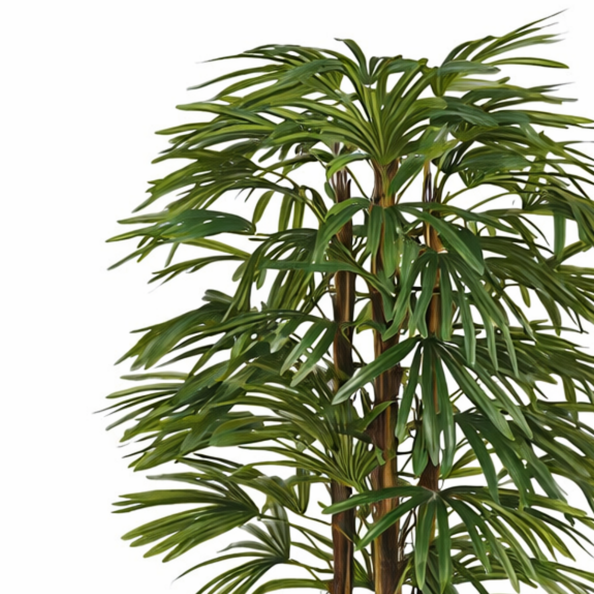 Kunstplant Raphis Palm 150 cm groen