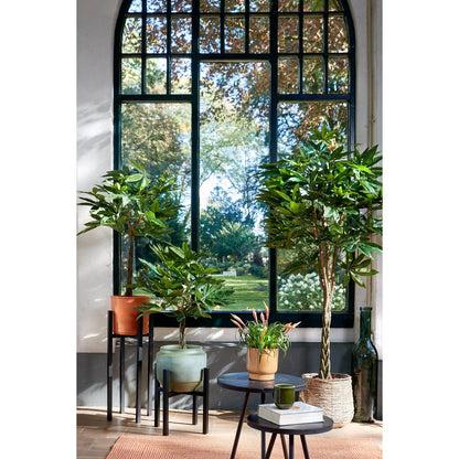 Kunstplant Pachira 80x60 cm echt houten stam