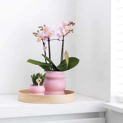 Dienblad bamboe roze Ø30 cm