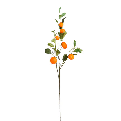 Kunsttak  Oranje