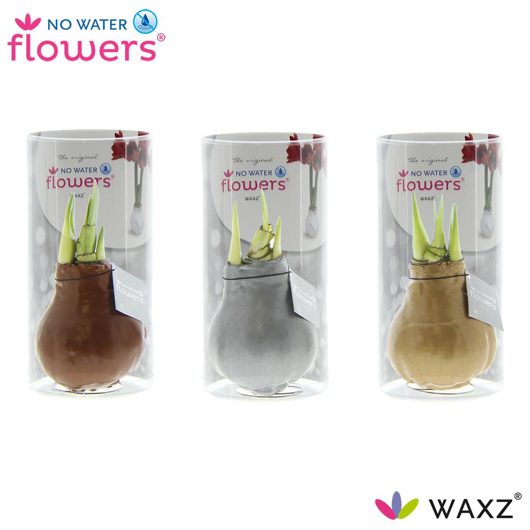 Drie Waxz Goud Zilver Koper In Koker Diameter 7 Cm Sfeer