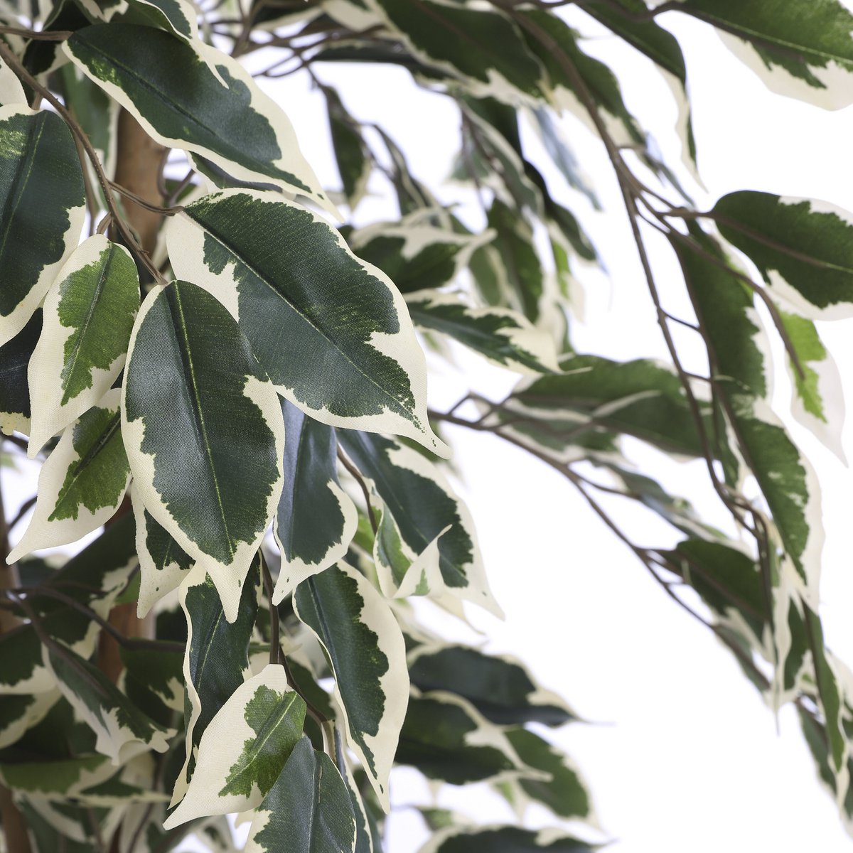 Kunstplant Ficus H150xØ75 cm groen