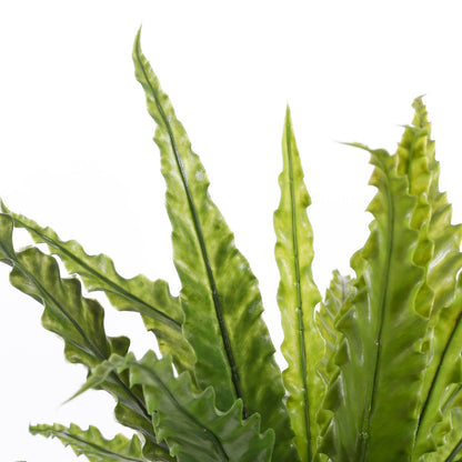 Kunstplant Asplenium 66x54x66 cm groen