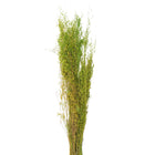 Droogboeket 90 cm groen