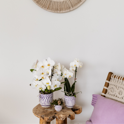 Ceramic Granada Decorative Pot - Lilac, Ø6 cm