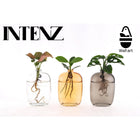 Houseplant Mix Santiago Glass Wall Art Set Three Pots
