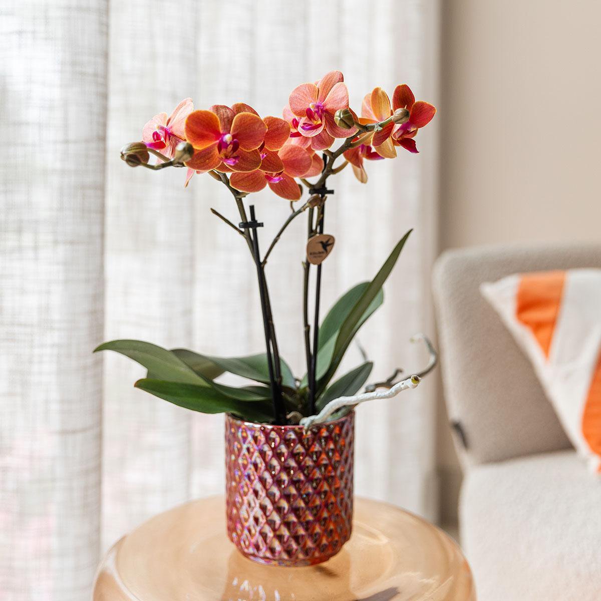 Red Decorative Pot with Diamond Texture Ø9 cm