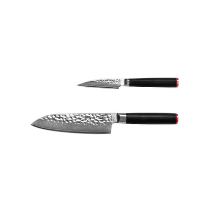 Damascus messenset 2 stuks schilmesje santoku