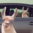 Raamsticker auto 29x19 cm Llama