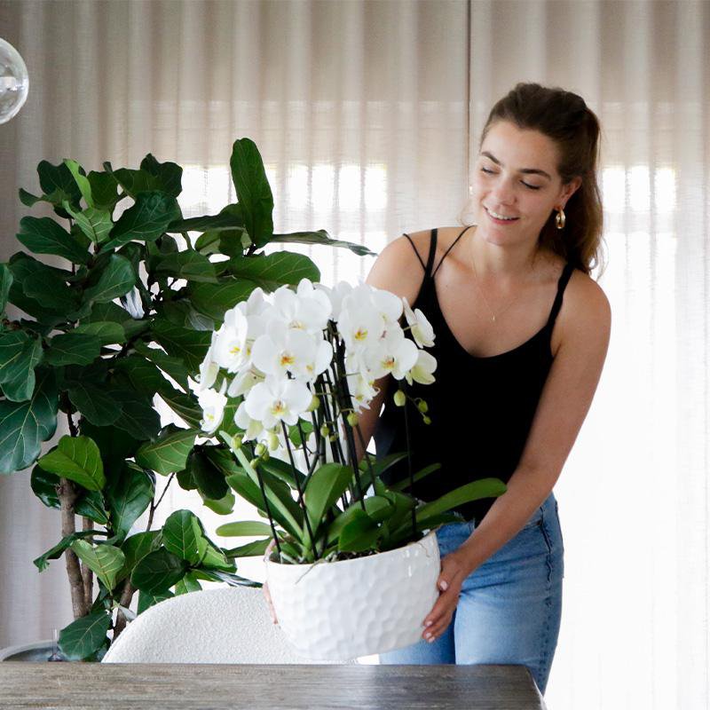Keramieken Plantenschaal Wit met Honingpatroon Ø30cm