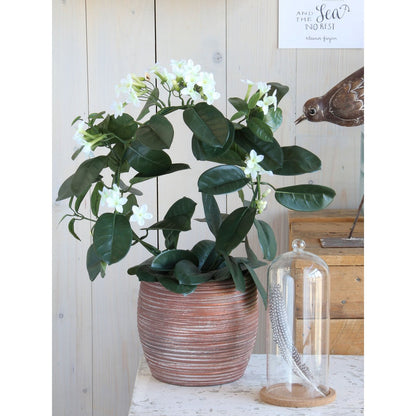 Kunstplant Stephanotis 50x40 cm wit