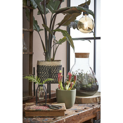 Storage Jar Emily Transparent