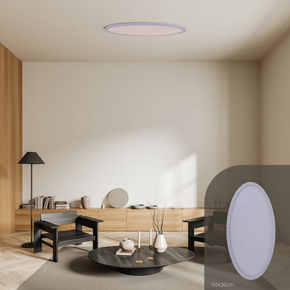 LED Plafondlamp Sorrent Ovaal 60x30 cm Modern Design