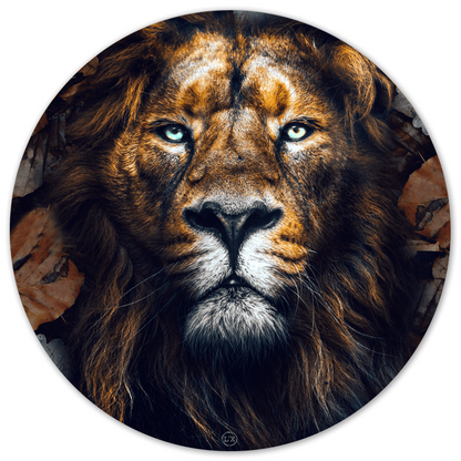 Muurcirkel Dibond 60 cm lion leaves